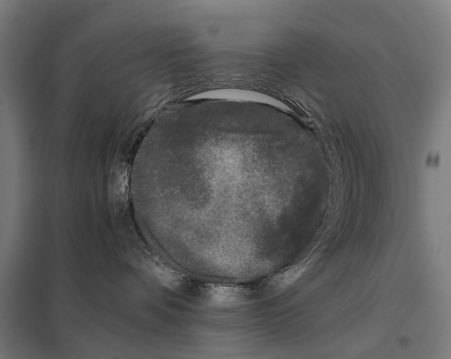 X0000097640336200803281128