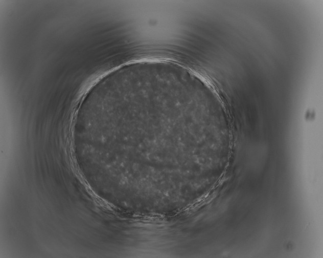 X0000097640337200803281128