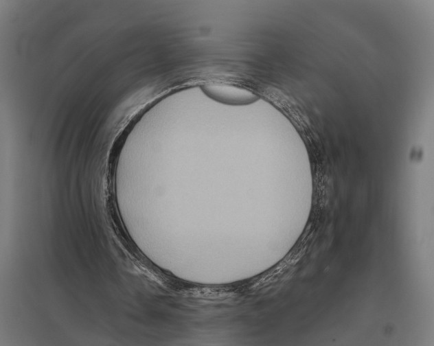 X0000097640338200803281128