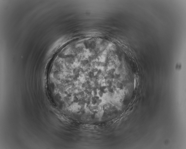 X0000097640339200803281128