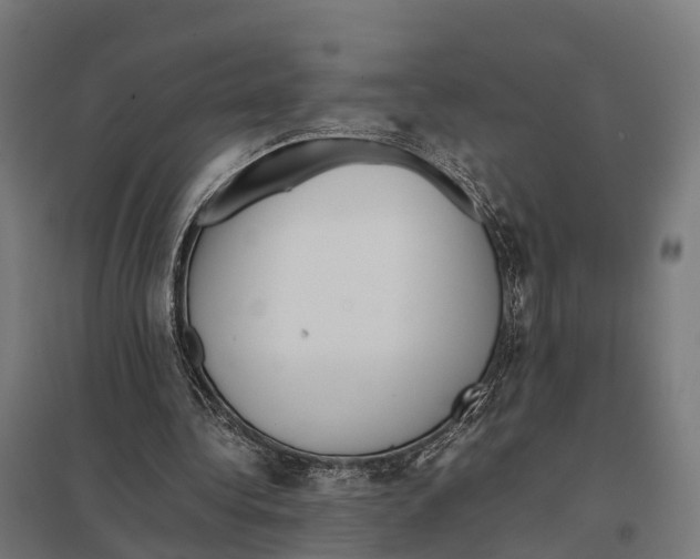 X0000097640340200803281128