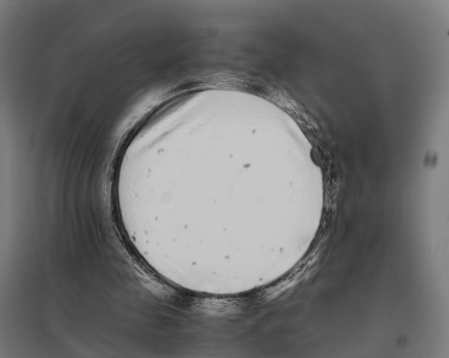 X0000097640341200803281128