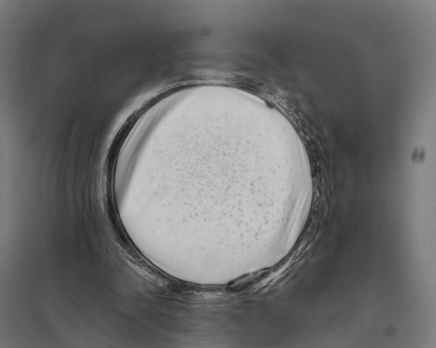 X0000097640342200803281128