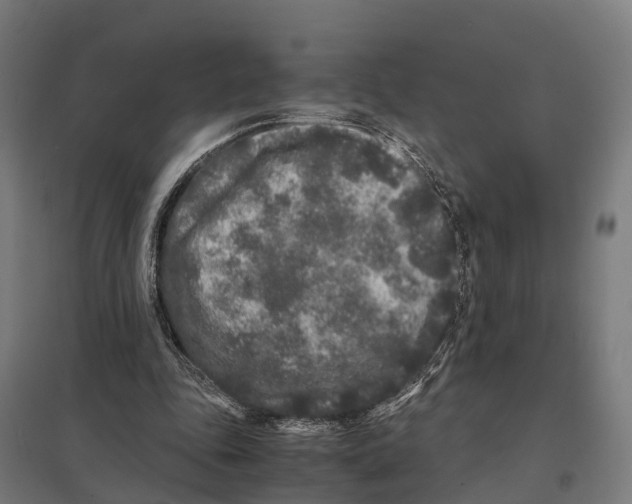 X0000097640343200803281128