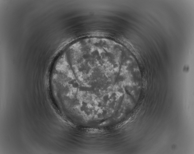 X0000097640347200803281128