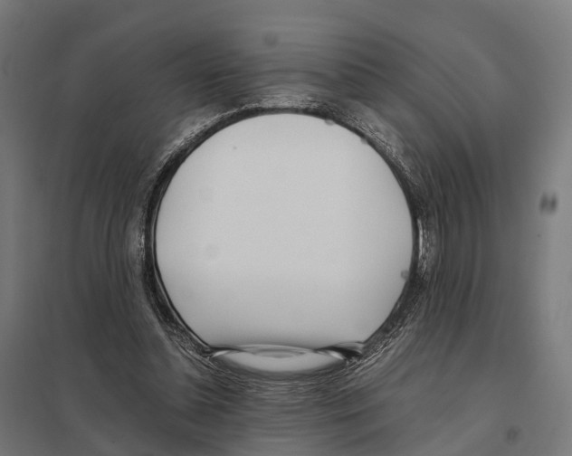 X0000097640348200803281128