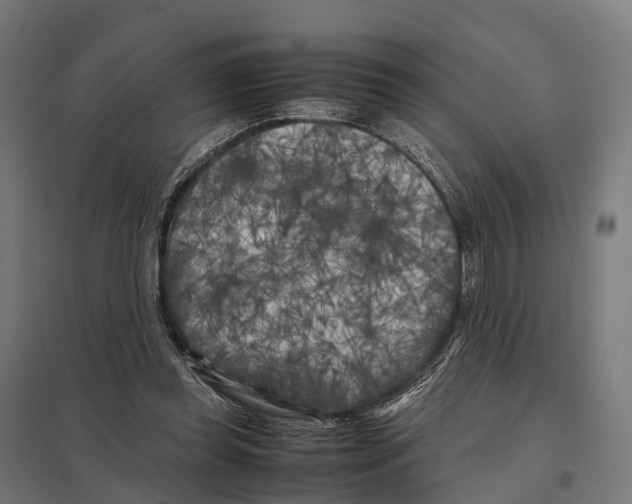 X0000097640349200803281128