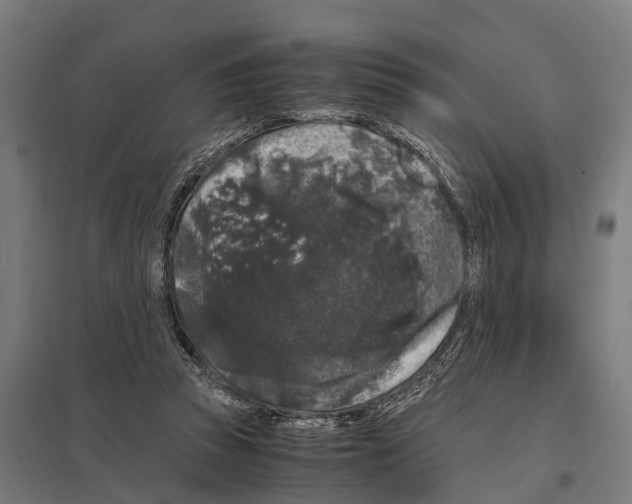 X0000097640353200803281128