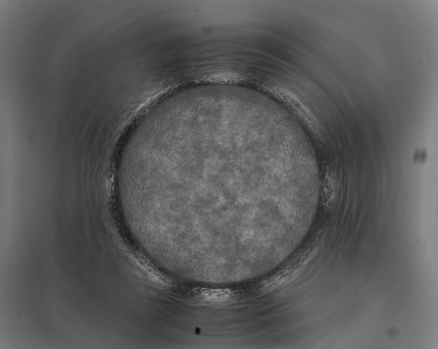 X0000097640355200803281128