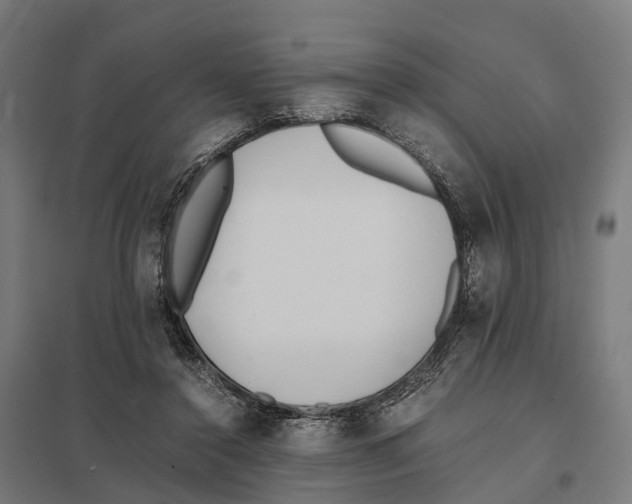 X0000097640356200803281128