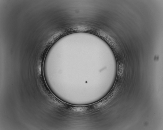 X0000097640358200803281128