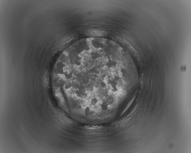 X0000097640359200803281128