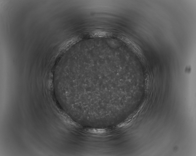 X0000097640361200803281128