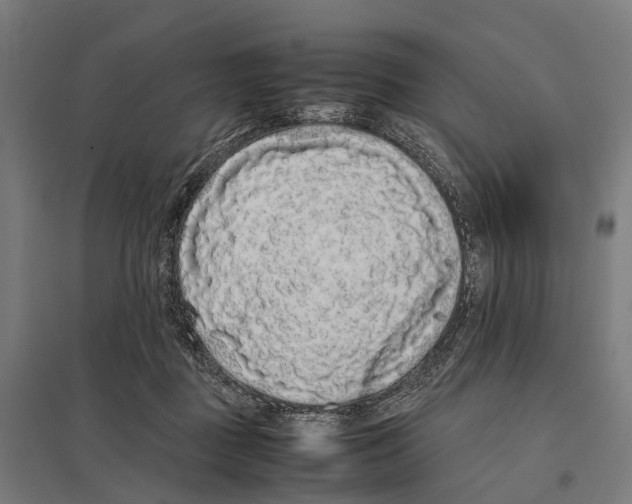 X0000097640363200803281128