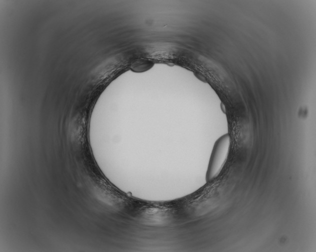 X0000097640364200803281128