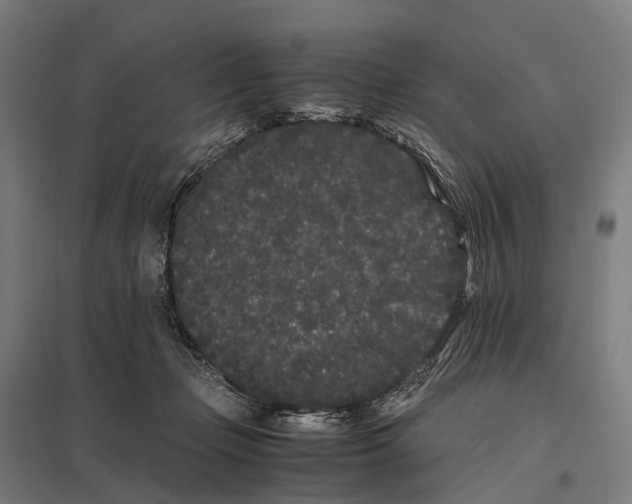 X0000097640365200803281128