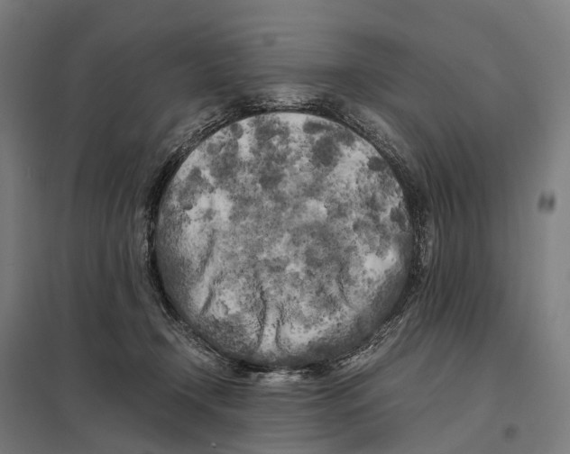 X0000097640366200803281128