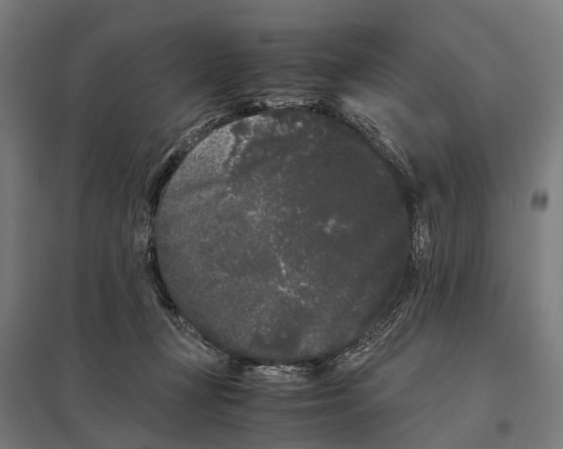 X0000097640367200803281128