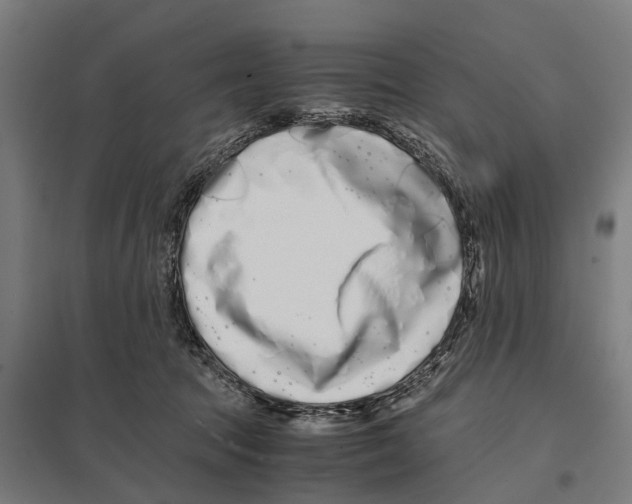 X0000097640369200803281128