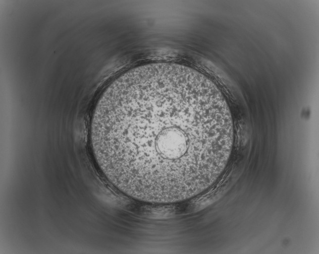 X0000097640370200803281128