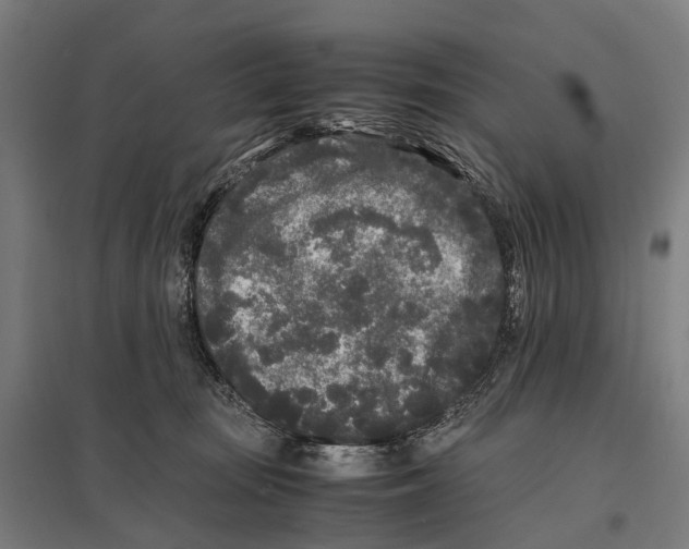 X0000097640371200803281128