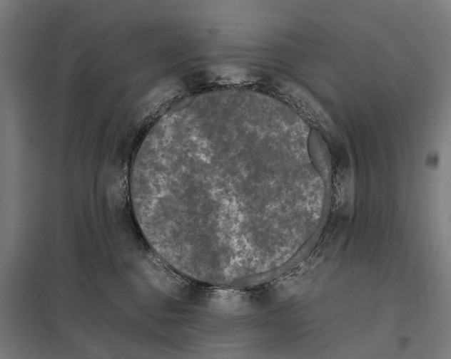 X0000097640376200803281128