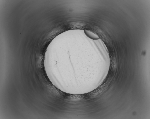 X0000097640378200803281128