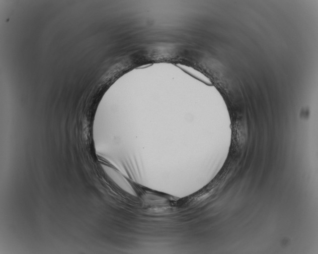 X0000097640380200803281128