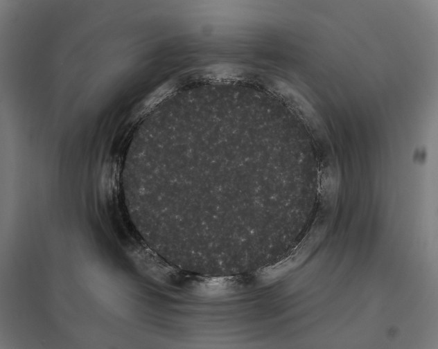 X0000097640382200803281128