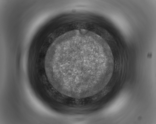 X0000097640383200803281128