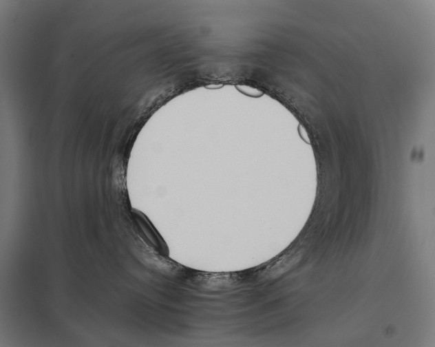 X0000097640384200803281128