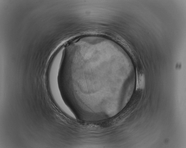 X0000097640387200803281128