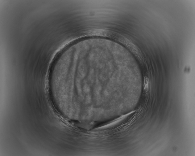 X0000097640388200803281128