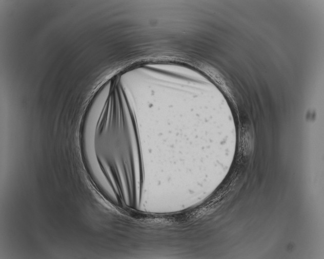 X0000097640389200803281128