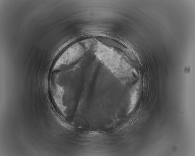 X0000097640390200803281128