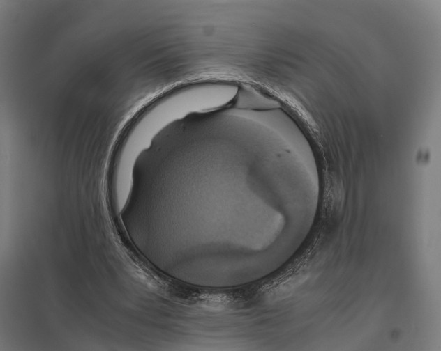 X0000097640391200803281128