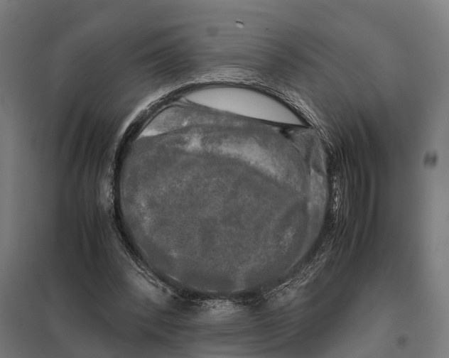 X0000097640392200803281128