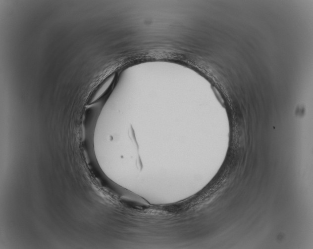 X0000097640393200803281128