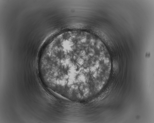 X0000097640396200803281127