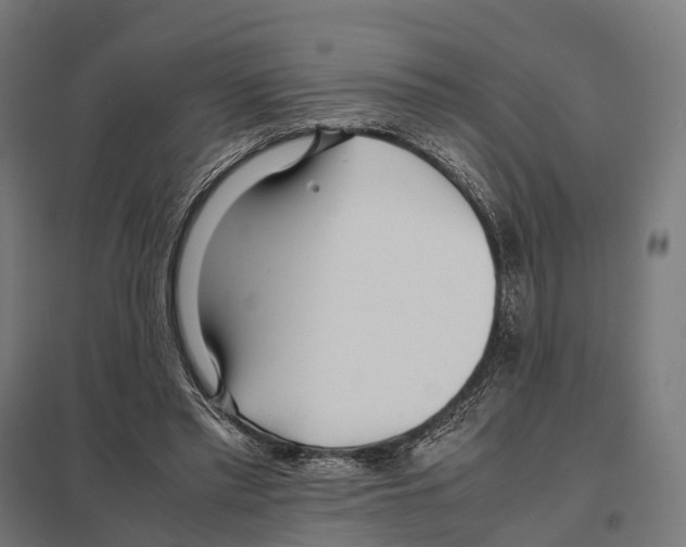 X0000097640397200803281127