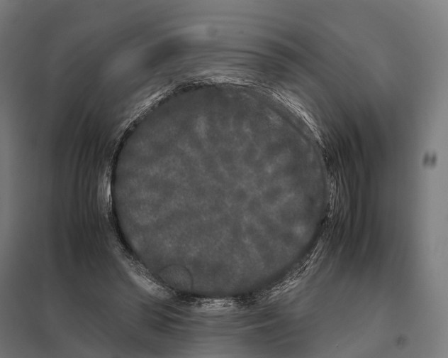 X0000097640398200803281127