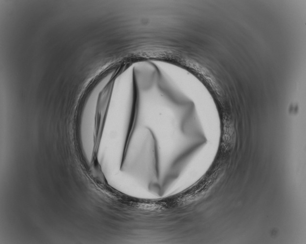 X0000097640399200803281127