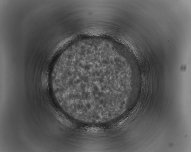 X0000097640400200803281127