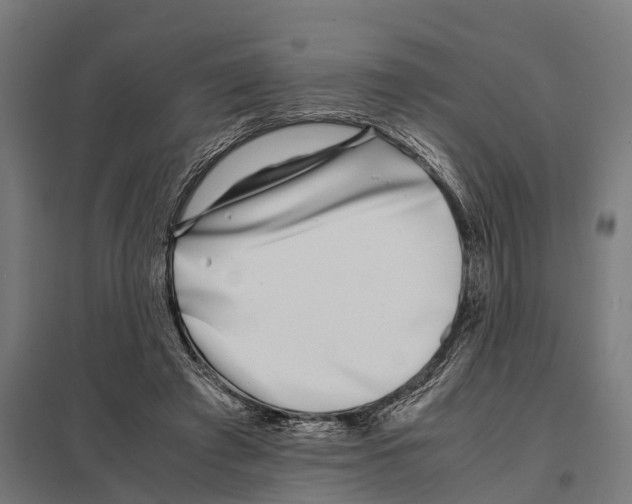 X0000097640401200803281127