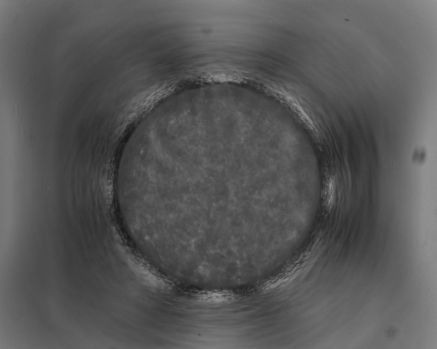 X0000097640402200803281127