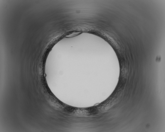 X0000097640403200803281127