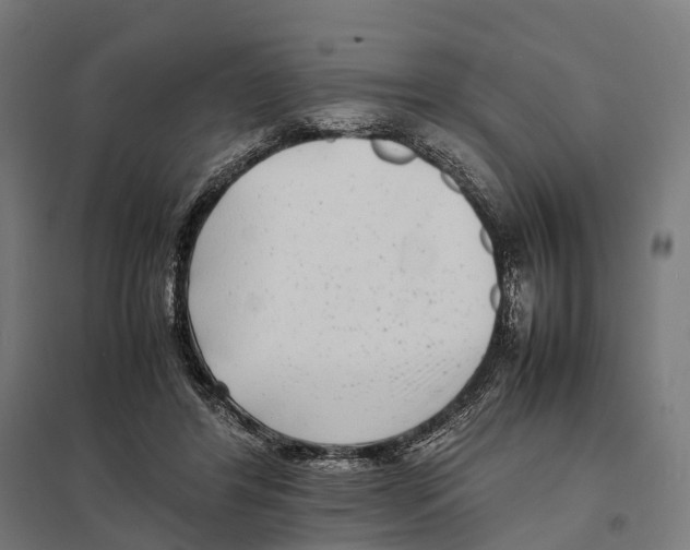 X0000097640404200803281127