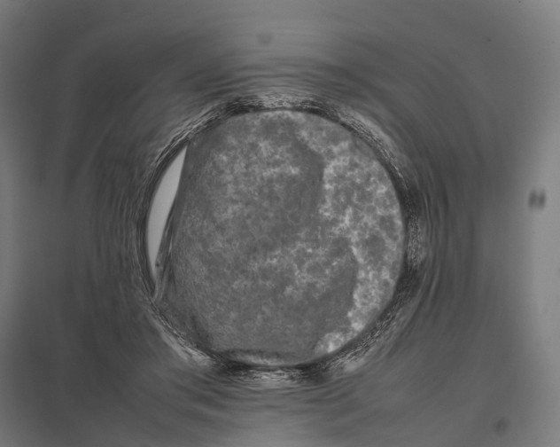 X0000097640405200803281127