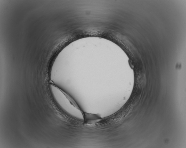 X0000097640407200803281127