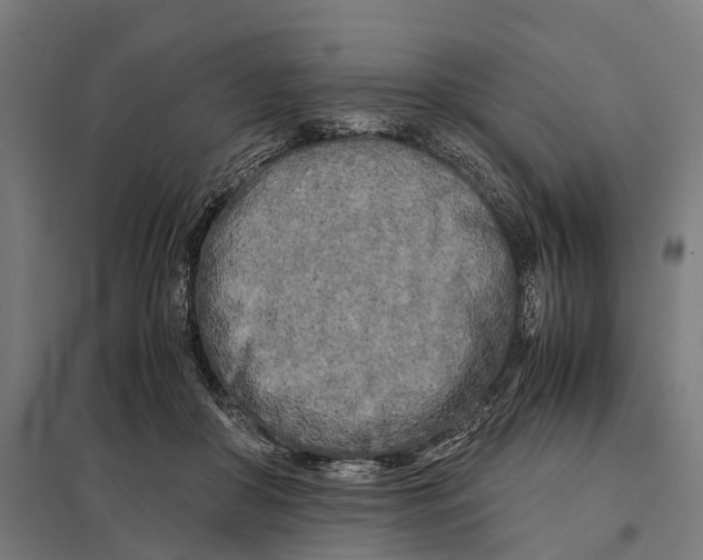 X0000097640410200803281127